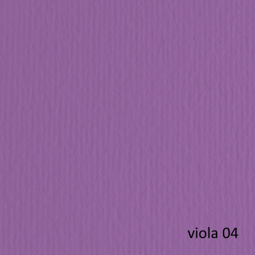 BLISTER 20FG CARTONCINO 50X70 220GR VIOLA 104 FABRIANO ELLE ERRE